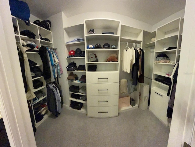 302 Coco Plum Ct, Oldsmar, FL 34677 - view of spacious closet