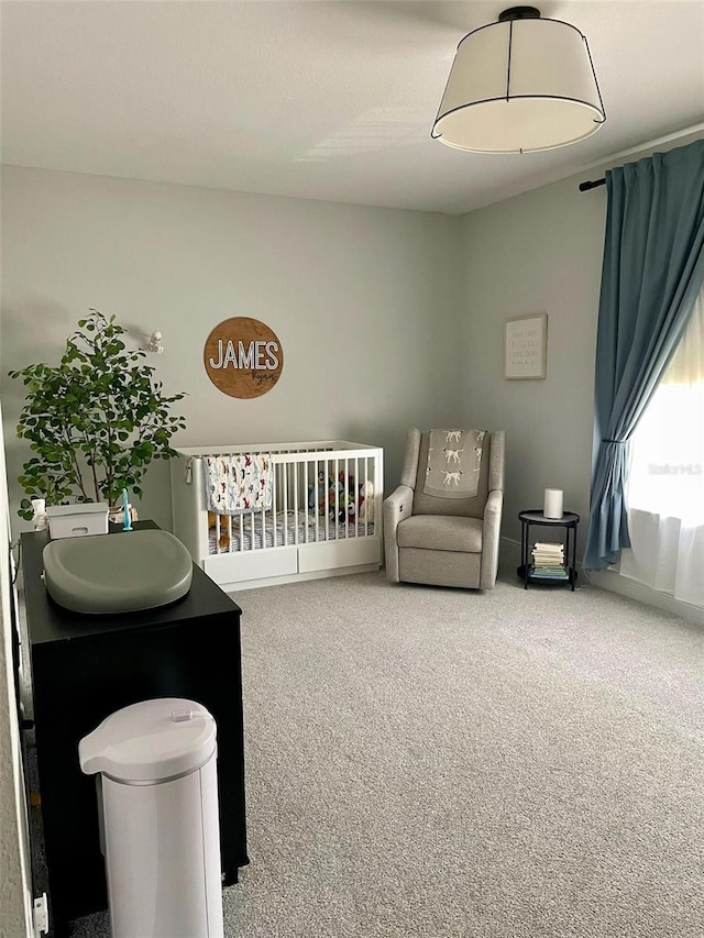 302 Coco Plum Ct, Oldsmar, FL 34677 - carpeted bedroom with a nursery area
