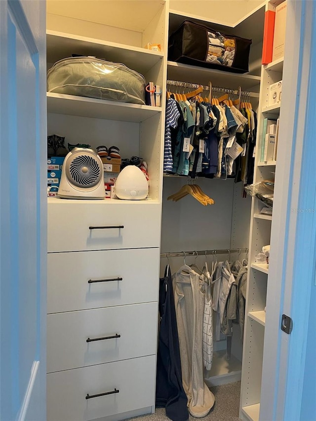 302 Coco Plum Ct, Oldsmar, FL 34677 - view of closet