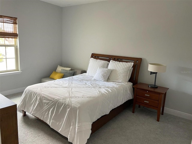 302 Coco Plum Ct, Oldsmar, FL 34677 - carpeted bedroom featuring baseboards