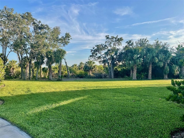 302 Coco Plum Ct, Oldsmar, FL 34677 - view of grassy yard featuring view of wooded area