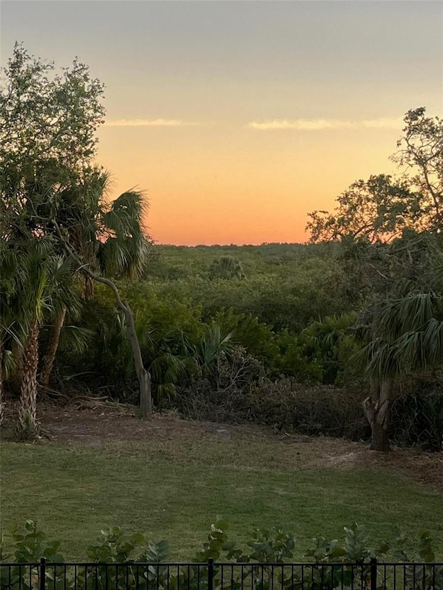 302 Coco Plum Ct, Oldsmar, FL 34677 - view of undeveloped land