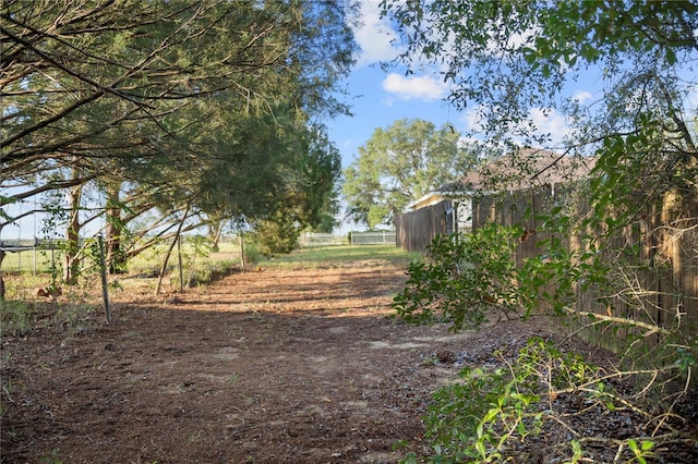 16017 Johns Lake Rd, Clermont, FL 34711 - view of yard