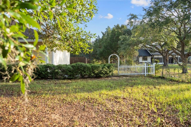 16017 Johns Lake Rd, Clermont, FL 34711 - view of yard