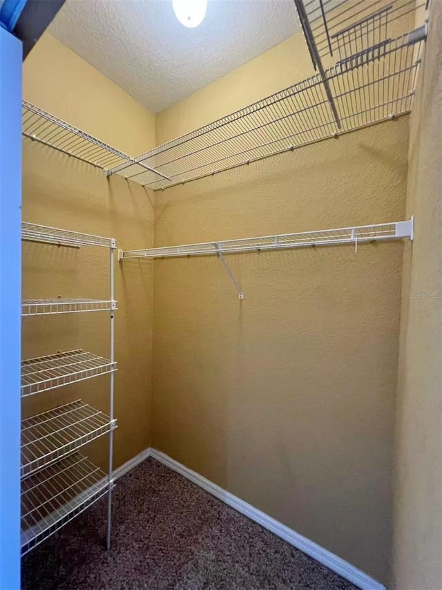 4010 Santa Maria Dr Unit 106, Kissimmee, FL 34741 - spacious closet featuring carpet floors