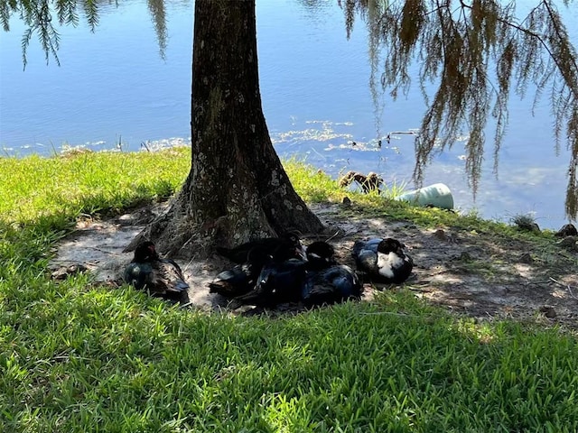 4010 Santa Maria Dr Unit 106, Kissimmee, FL 34741 - view of undeveloped land