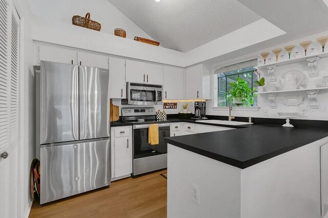 3501 Danby Ct, Orlando, FL 32812 - kitchen featuring appliances with stainless steel finishes, dark countertops, vaulted ceiling, a peninsula, and light wood-type flooring
