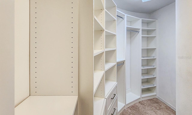 357 Fairway Pointe Cir, Orlando, FL 32828 - spacious closet with light carpet