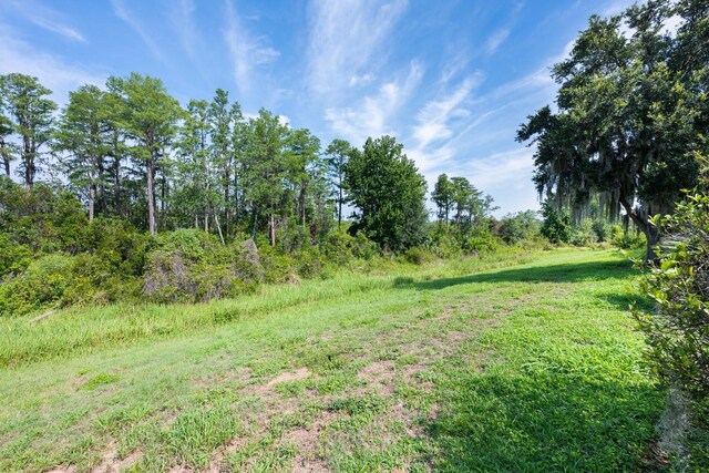 15309 Markham Dr, Clermont, FL 34714 - photo 20