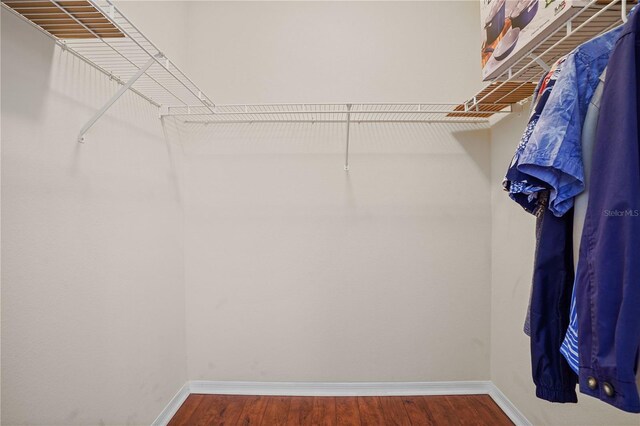 1300 Eastern Pecan Pl Unit 104, Winter Garden, FL 34787 - photo 17