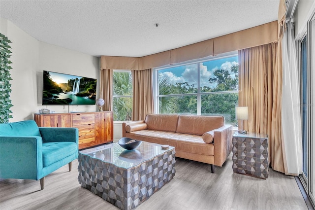 6337 Parc Corniche Dr Unit 2312, Orlando, FL 32821 - living room with wood finished floors and a textured ceiling