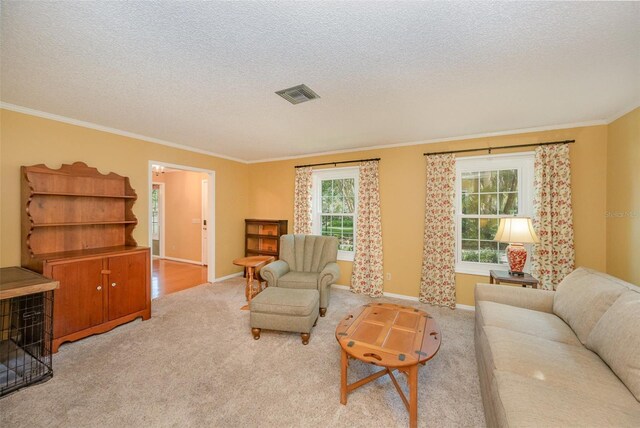 6321 Quarterhorse Cir, Cocoa, FL 32926 - carpeted living room featuring crown molding, a textured ceiling, and baseboards