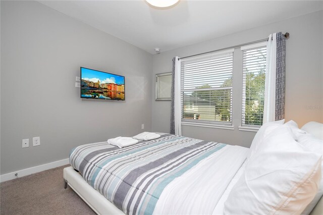 4414 Le Reve Ct, Kissimmee, FL 34746 - bedroom with carpet floors and baseboards