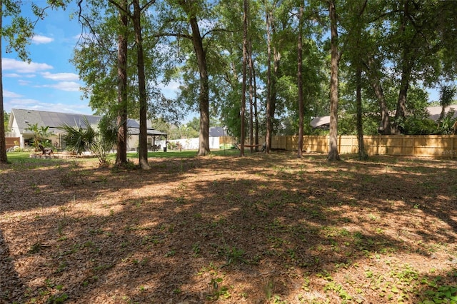 2122 Palm Crest Dr, Apopka, FL 32712 - view of yard