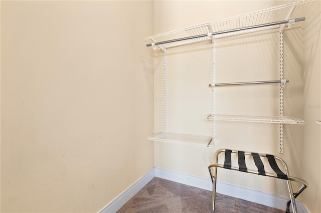 3149 Brasilia Ave, Kissimmee, FL 34747 - spacious closet with carpet