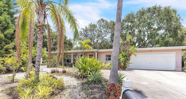 251 Tropic Blvd W, Largo, FL 33770 - single story home with stucco siding, concrete driveway, and a garage