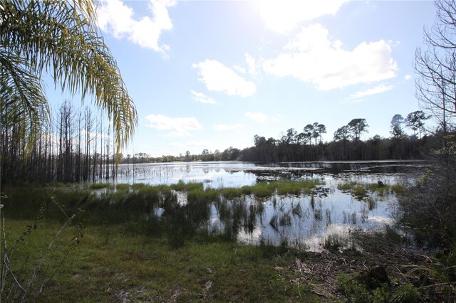 2037 Watersedge Dr, Deltona, FL 32738 - photo 4