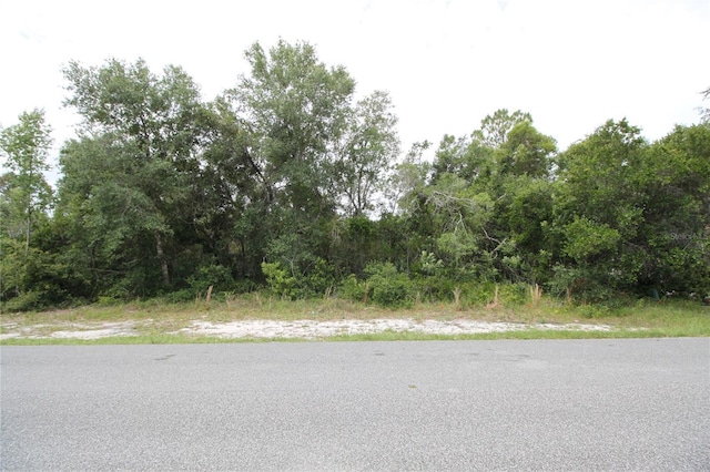 2037 Watersedge Dr, Deltona, FL 32738 - photo 5