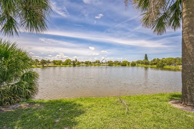 10517 Camelia Dr, Port Richey, FL 34668 - photo 5