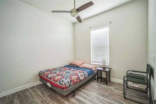 10517 Camelia Dr, Port Richey, FL 34668 - photo 21