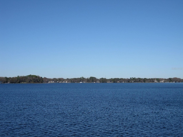 18620 Wayne Rd, Odessa, FL 33556 - water view