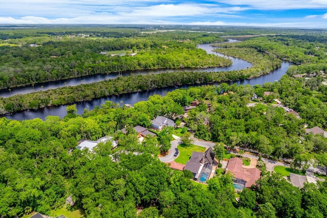 20 Twelve Oaks Trl, Ormond Beach, FL 32174 - bird's eye view of a nearby body of water and a heavily wooded area