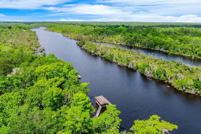 20 Twelve Oaks Trl, Ormond Beach, FL 32174 - bird's eye view of a forest and a nearby body of water