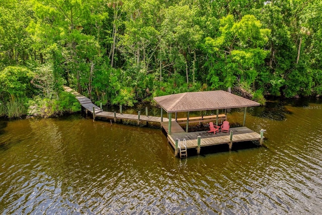 20 Twelve Oaks Trl, Ormond Beach, FL 32174 - dock with a water view