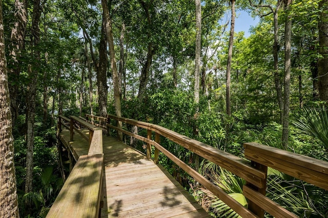 20 Twelve Oaks Trl, Ormond Beach, FL 32174 - view of home's community
