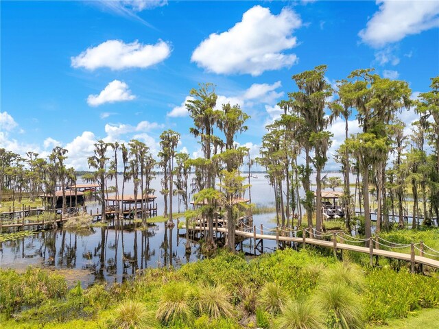 614 Lake Ave, Orlando, FL 32801 - photo 100
