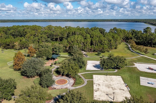 3349 Sagebrush St, Harmony, FL 34773 - bird's eye view of a nearby body of water