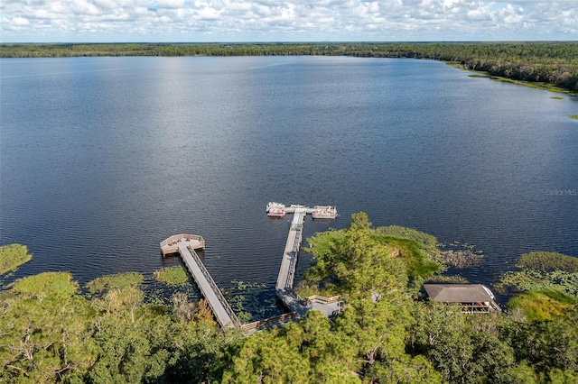 3349 Sagebrush St, Harmony, FL 34773 - bird's eye view of a large body of water and a forest