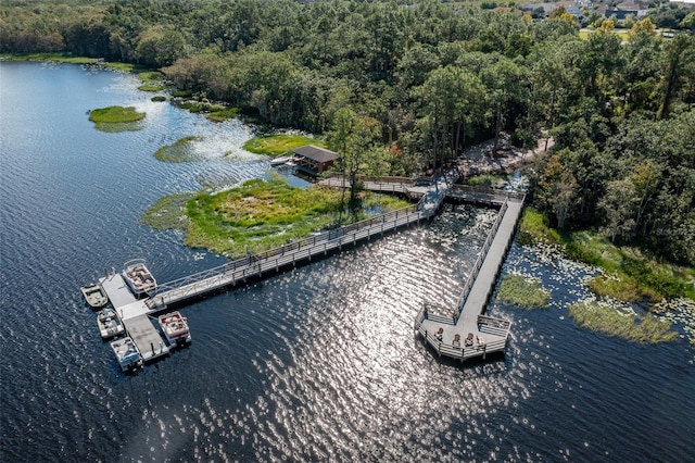 3349 Sagebrush St, Harmony, FL 34773 - bird's eye view of a nearby body of water and a forest