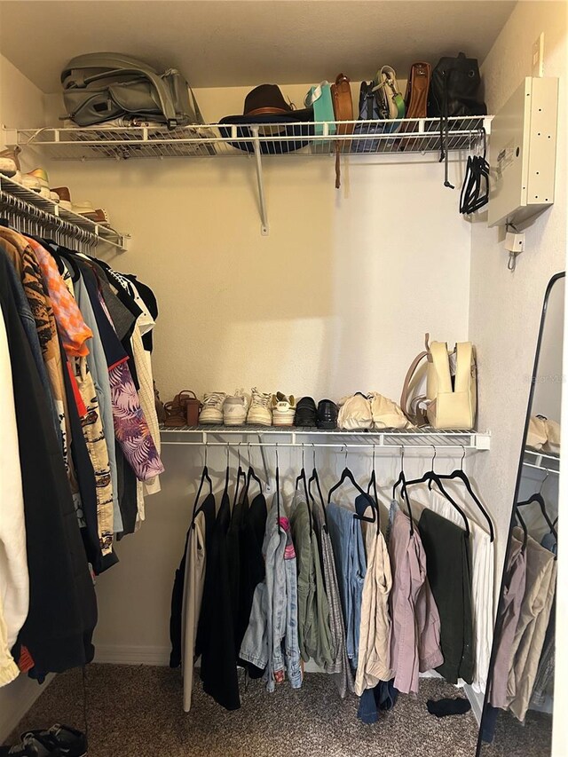 3417 Westchester Square Blvd Unit 202, Orlando, FL 32835 - walk in closet featuring carpet flooring