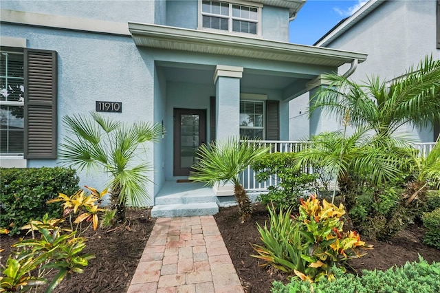 11910 Philosophy Way, Orlando, FL 32832 - photo 2