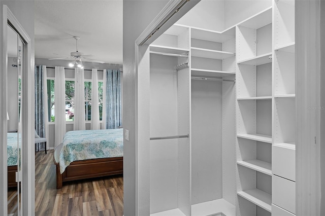 1124 Hidden Blf, Clermont, FL 34711 - walk in closet with a ceiling fan and wood finished floors