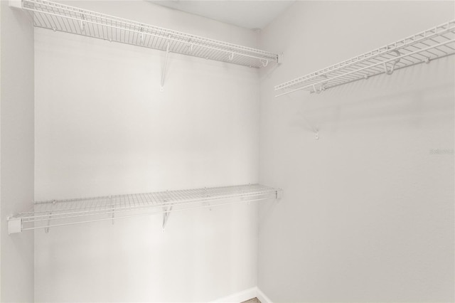 7715 Anselmo Ln, Windermere, FL 34786 - view of spacious closet
