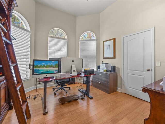 1319 Johns Cove Ln, Oakland, FL 34787 - office featuring light wood-style flooring and baseboards
