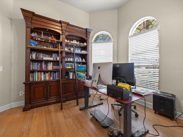 1319 Johns Cove Ln, Oakland, FL 34787 - office space with light wood-style flooring and baseboards