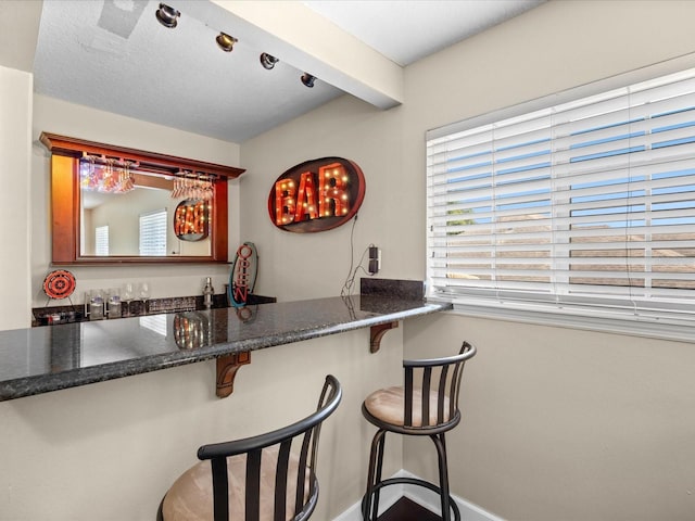 1319 Johns Cove Ln, Oakland, FL 34787 - indoor wet bar with baseboards
