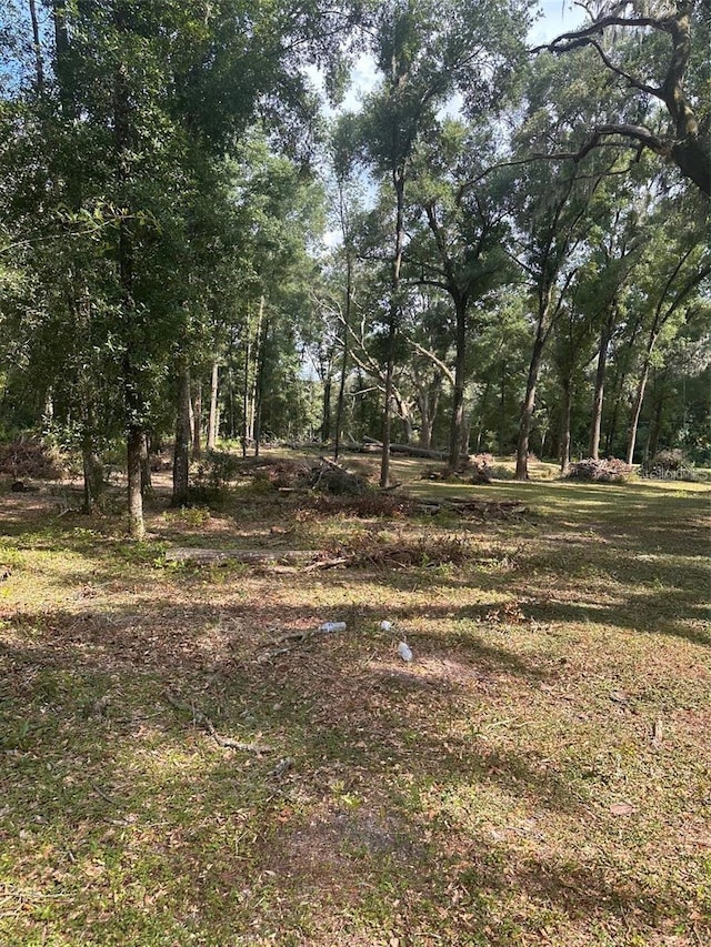 TBD SW 111th Ln, Dunnellon, FL 34432