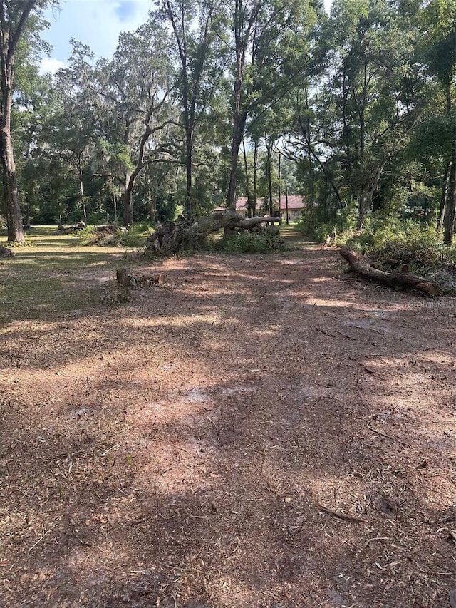 TBD SW 111th Ln, Dunnellon, FL 34432