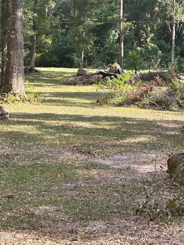TBD SW 111th Ln, Dunnellon, FL 34432