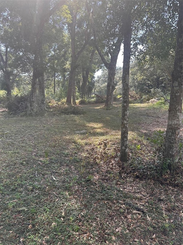 TBD SW 111th Ln, Dunnellon, FL 34432
