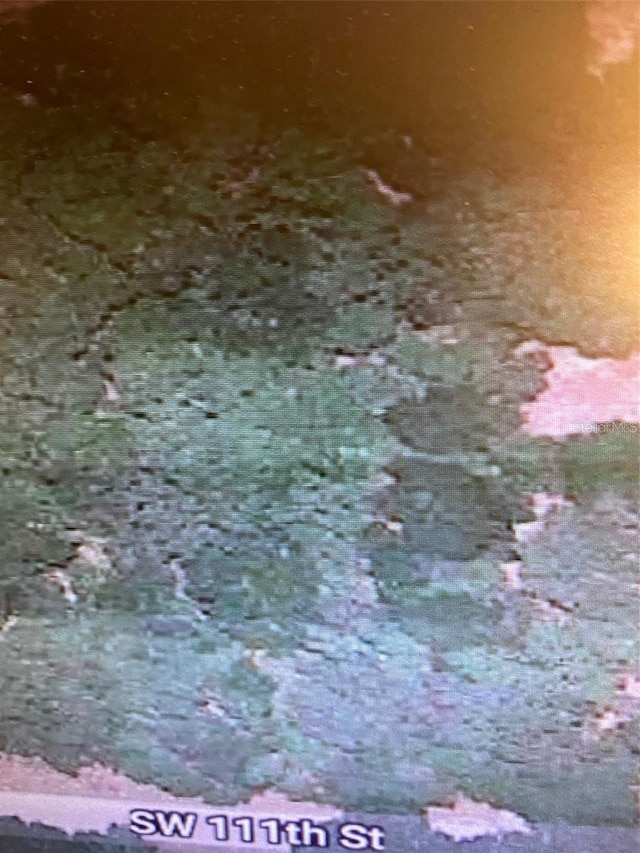 TBD SW 111th Ln, Dunnellon, FL 34432