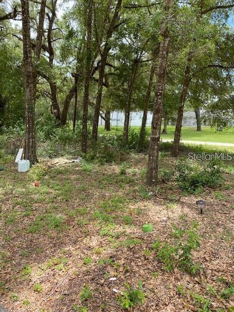 TOBEDETERMINED SW 111th Ln, Dunnellon, FL 34432