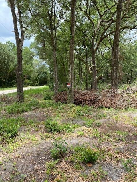 TOBEDETERMINED SW 111th Ln, Dunnellon, FL 34432