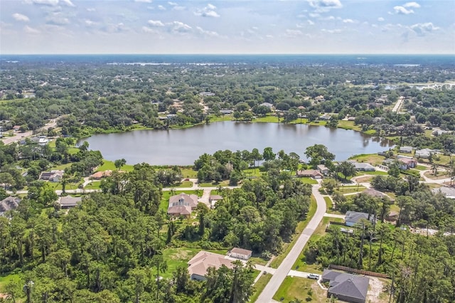1601 Randolph St, Deltona, FL 32725 - aerial perspective of suburban area with a large body of water