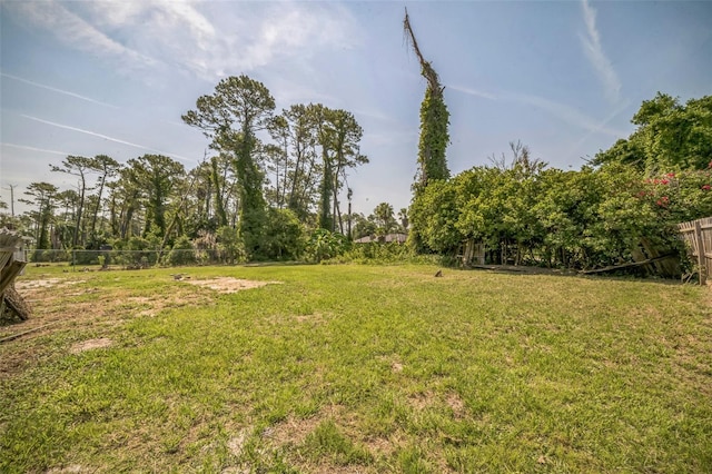 1601 Randolph St, Deltona, FL 32725 - view of yard