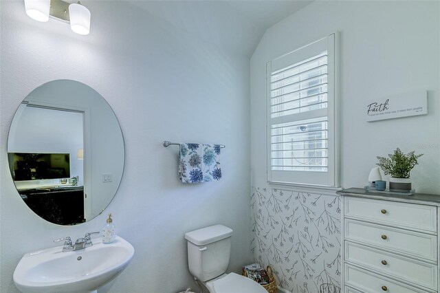 625 Dogfish Ln, Debary, FL 32713 - bathroom featuring a sink, toilet, and lofted ceiling
